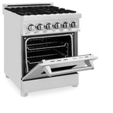 ZLINE 24" Professional Dual Fuel Range with Color Door Options (RA24)