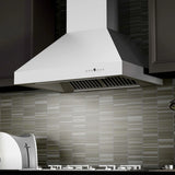 ZLINE Ducted Wall Mount Range Hood in Outdoor Approved Stainless Steel (697-304)